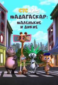  Мадагаскар: Маленькие и дикие 