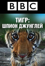  BBC: Тигр — Шпион джунглей 